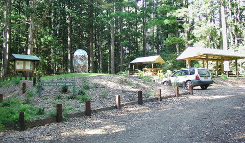 The Pines Picnic Area - Accommodation Batemans Bay 2