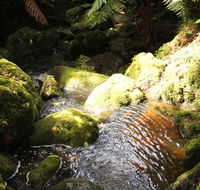 South East Forests National Park - Accommodation Batemans Bay