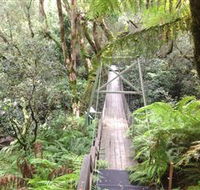 Bemm River Scenic Reserve - Accommodation Batemans Bay