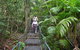 Falls Walking Track - thumb 2