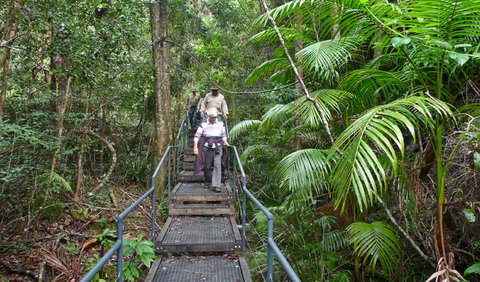 Falls Walking Track - Accommodation Batemans Bay 2