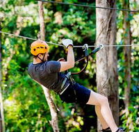 TreeTop Challenge Currumbin - Accommodation Batemans Bay