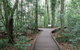 Victoria Park Boardwalk - thumb 0