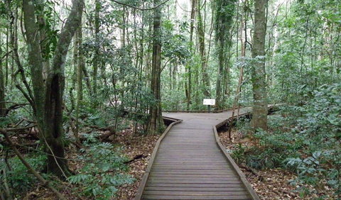 Victoria Park Boardwalk - Accommodation Batemans Bay 0