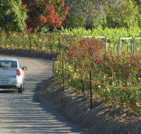 Cassegrain Wines - Accommodation Batemans Bay