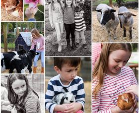 Roses Vineyard And Animal Farm - Accommodation Batemans Bay 1
