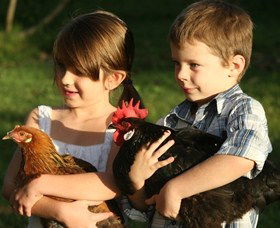 Summerland House Farm - House With No Steps - Accommodation Batemans Bay 2
