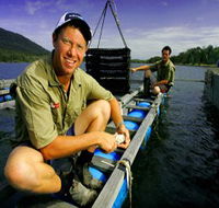 Armstrong Oysters - Accommodation Batemans Bay