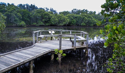 Walk On Water Walking Track - Accommodation Batemans Bay 0