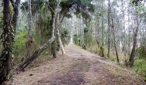 Walk On Water Walking Track - Accommodation Batemans Bay 2
