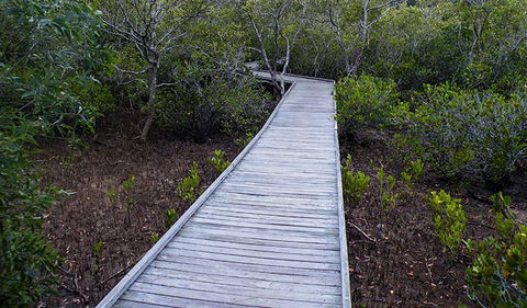 Walk On Water Walking Track - Accommodation Batemans Bay 3