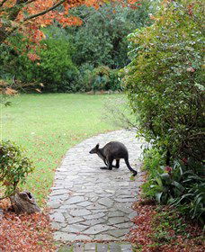 Narek Galleries - Accommodation Batemans Bay 2