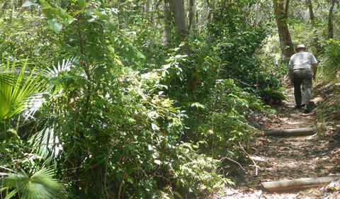 Bridle Trail - Accommodation Batemans Bay 0