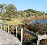 Mimosa Rocks walking track - Accommodation Batemans Bay