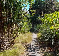 North Head walking track - Accommodation Batemans Bay