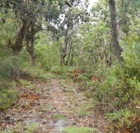 Kinchela Trig Lookout walk - Accommodation Batemans Bay