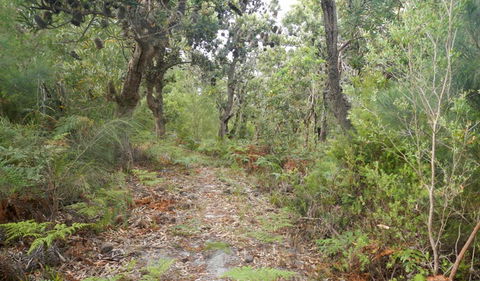 Kinchela Trig Lookout Walk - Accommodation Batemans Bay 0