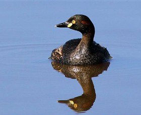 Panboola Wetlands - Accommodation Batemans Bay 0