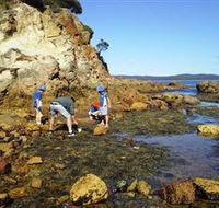 Sapphire Coast Marine Discovery Centre - Accommodation Batemans Bay