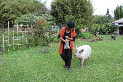 Djanbung Permaculture Gardens - Accommodation Batemans Bay 7