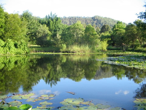 Djanbung Permaculture Gardens - Accommodation Batemans Bay 10