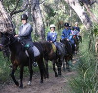 Mirravale Horse Riding School - Accommodation Batemans Bay