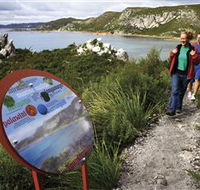 Rocky Cape National Park - Accommodation Batemans Bay