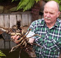 Lobster Ponds - Accommodation Batemans Bay