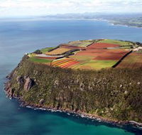 Table Cape - Accommodation Batemans Bay