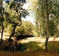 Oldina Picnic Area - Accommodation Batemans Bay