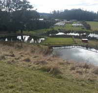 Guide Falls Farm - Accommodation Batemans Bay