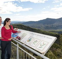 Whyte Hills Lookout - Accommodation Batemans Bay