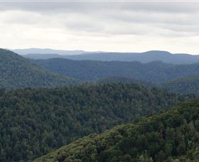 Whyte Hills Lookout - Accommodation Batemans Bay 1