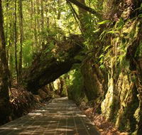 Philosopher Falls - Accommodation Batemans Bay