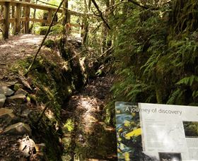 Philosopher Falls - Accommodation Batemans Bay 1