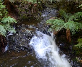 Philosopher Falls - Accommodation Batemans Bay 4