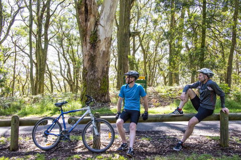 Fit Tours - Accommodation Batemans Bay 8