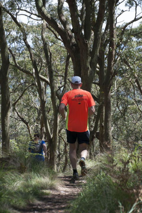Fit Tours - Accommodation Batemans Bay 11