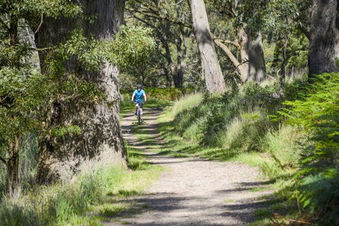Fit Tours - Accommodation Batemans Bay 16
