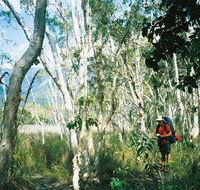 Thorsborne Trail Hinchinbrook Island National Park - Accommodation Batemans Bay