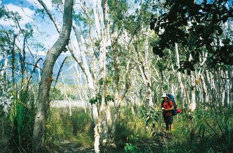 Thorsborne Trail, Hinchinbrook Island National Park - Accommodation Batemans Bay 2