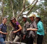 Echidna Walkabout Nature Tours - Accommodation Batemans Bay