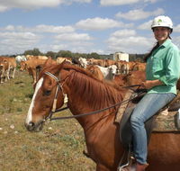 Myella Farm Stay Tours - Accommodation Batemans Bay