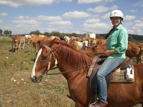 Myella Farm Stay Tours - Accommodation Batemans Bay 0