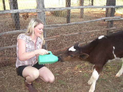 Myella Farm Stay Tours - Accommodation Batemans Bay 1