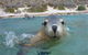 Calypso Star Charters - thumb 0