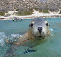 Calypso Star Charters - Accommodation Batemans Bay