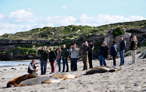 Kangaroo Island Odysseys - Accommodation Batemans Bay 26