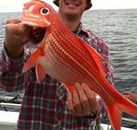 Goin' Off Safaris - Accommodation Batemans Bay