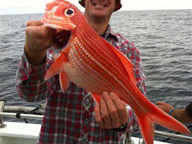 Goin' Off Safaris - Accommodation Batemans Bay 1